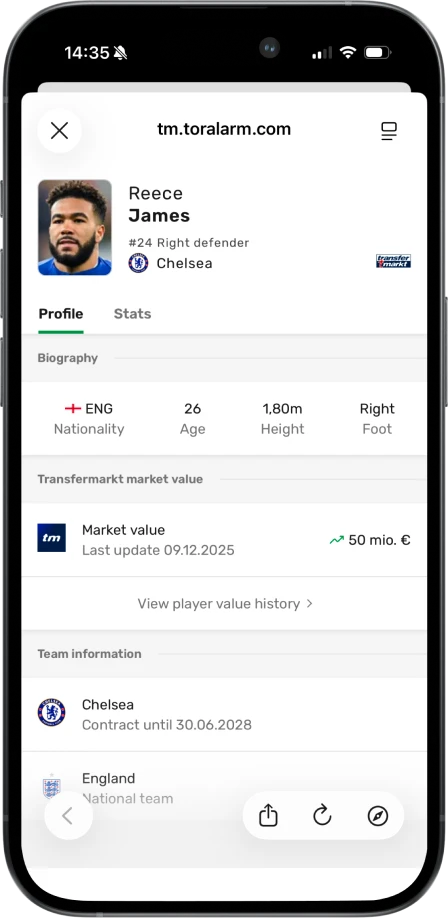 Player profile